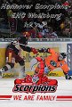 Scorpions190310   001